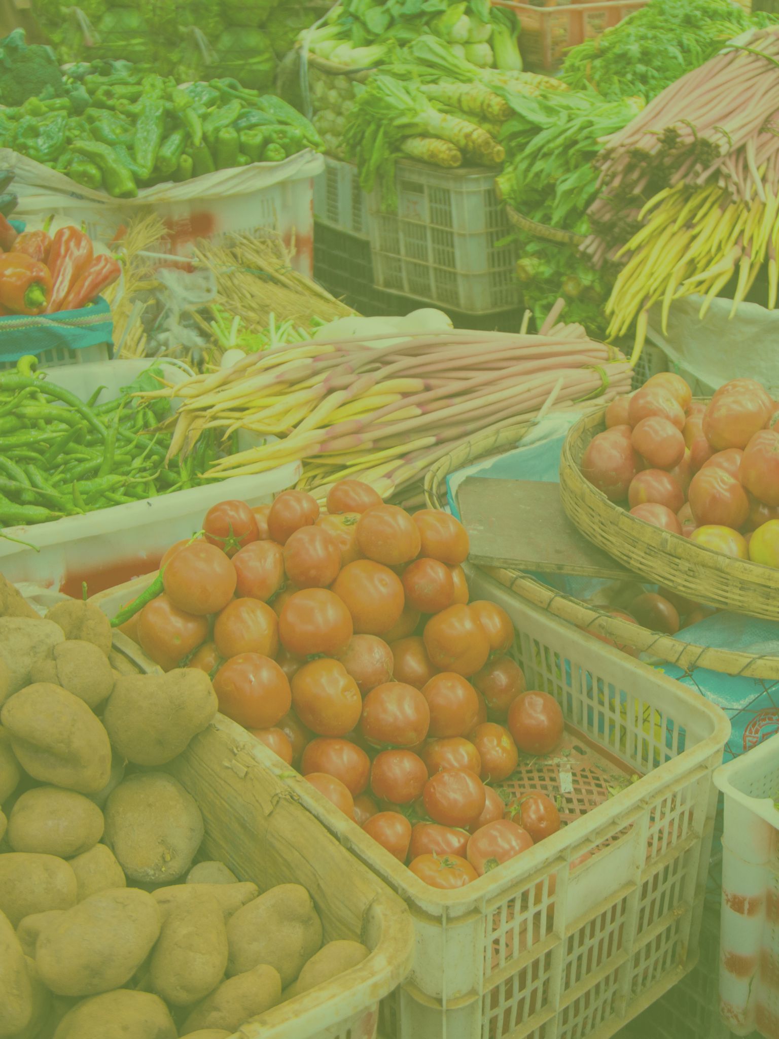 vibrant vegetables displayed in baskets