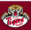 logo for sedgley park tigers depicting a tiger holding a banner with club name in red on white background