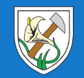 st joseph primary school logo of white shield containing lilly and axe on blue background