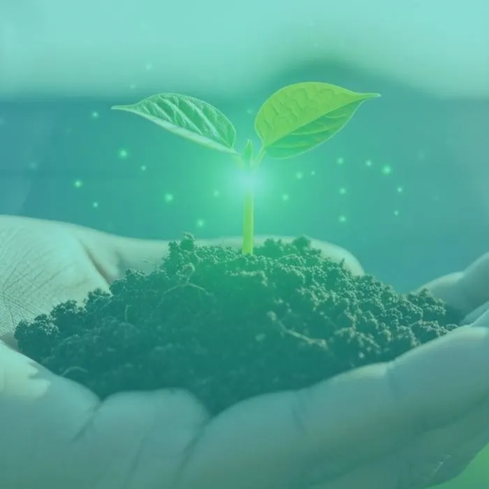 a hand holds out a small mound of soil with a green plant sprouting
